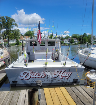 Hook the big one in Baltimore's bay!